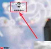 墨墨背单词使用指南
