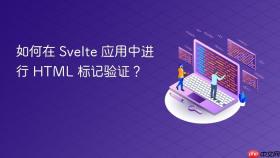 如何在 Svelte 应用中进行 HTML 标记验证？
