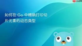 如何在 Go 中精确打印切片元素的动态类型
