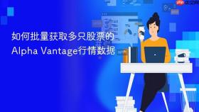 如何批量获取多只股票的Alpha Vantage行情数据
