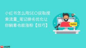 小红书怎么用seo获取搜索流量_笔记排名优化让你躺着也能涨粉【技巧】