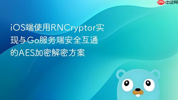 iOS端使用RNCryptor实现与Go服务端安全互通的AES加密解密方案
