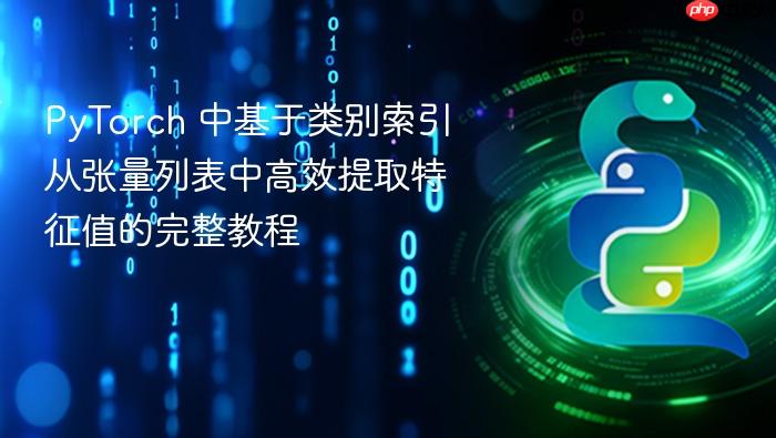 PyTorch 中基于类别索引从张量列表中高效提取特征值的完整教程