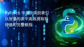 PyTorch 中基于类别索引从张量列表中高效提取特征值的完整教程