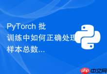 PyTorch 批训练中如何正确处理样本总数无法整除批大小的问题？