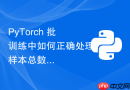 PyTorch 批训练中如何正确处理样本总数无法整除批大小的问题？