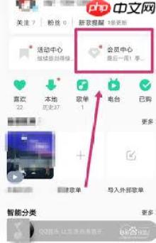 电脑版QQ音乐如何查配额