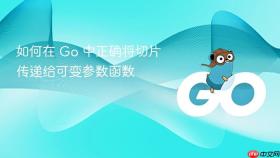 如何在 Go 中正确将切片传递给可变参数函数
