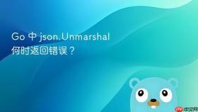 Go 中 json.Unmarshal 何时返回错误？
