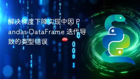 解决梯度下降实现中因 Pandas DataFrame 迭代导致的类型错误
