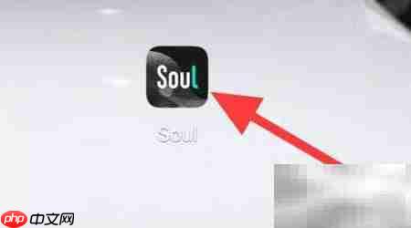Soul灵魂趣味测试指南