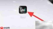 Soul灵魂趣味测试指南
