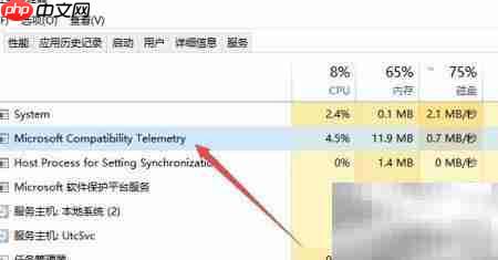 Microsoft高CPU占用问题