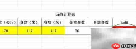 bm值计算方法详解