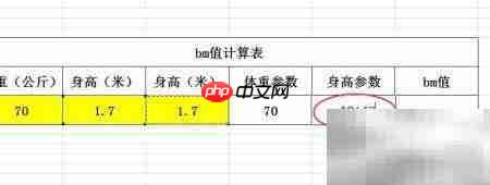bm值计算方法详解