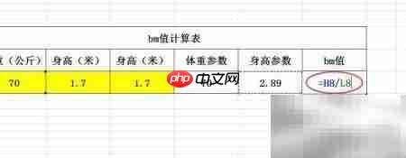 bm值计算方法详解