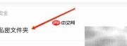 WPS秘密文件入口设置方法