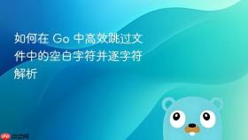 如何在 Go 中高效跳过文件中的空白字符并逐字符解析