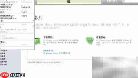 iPad2下载电影方法指南