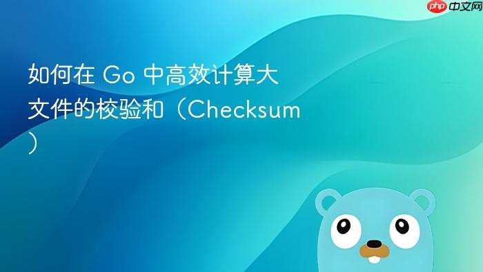 如何在 Go 中高效计算大文件的校验和(Checksum)