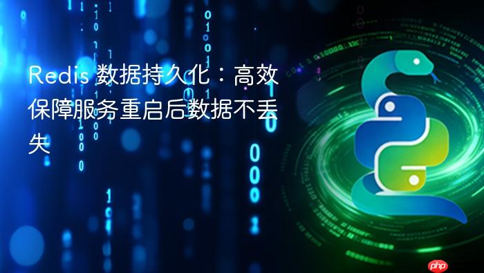 Redis 数据持久化:高效保障服务重启后数据不丢失