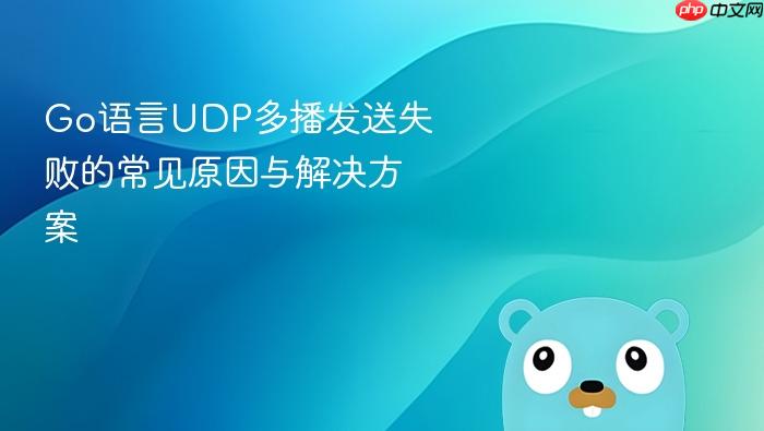 Go语言UDP多播发送失败的常见原因与解决方案