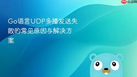 Go语言UDP多播发送失败的常见原因与解决方案