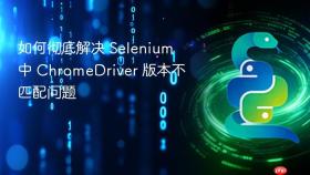 如何彻底解决 Selenium 中 ChromeDriver 版本不匹配问题
