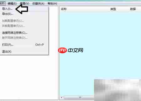 Software保护服务问题解决
