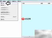 Software保护服务问题解决