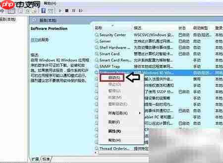 Software保护服务问题解决