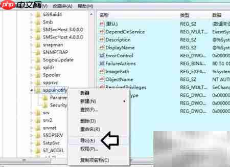 Software保护服务问题解决