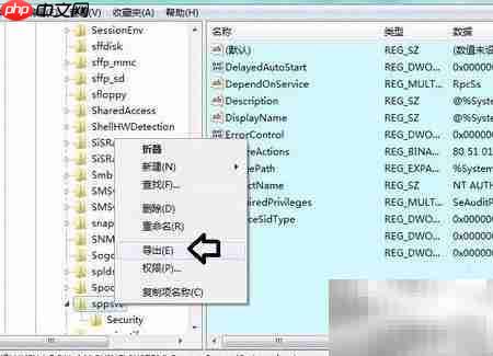 Software保护服务问题解决