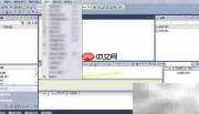 Catalyst提取原程序集方法