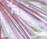 Note Taking用法解析