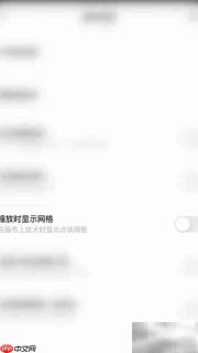 Paper缩放显示网格开启方法