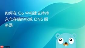 如何在 Go 中构建支持持久化存储的权威 DNS 服务器