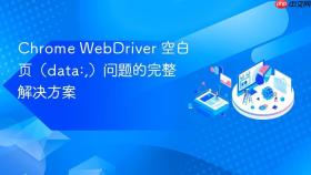 Chrome WebDriver 空白页(data:,)问题的完整解决方案