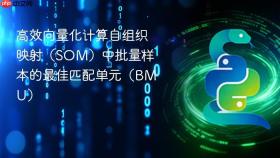 高效向量化计算自组织映射（SOM）中批量样本的最佳匹配单元（BMU）

