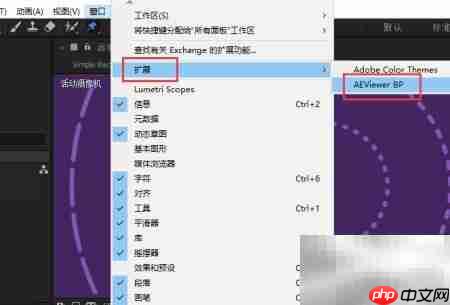 AE中使用Big Pack插件教程