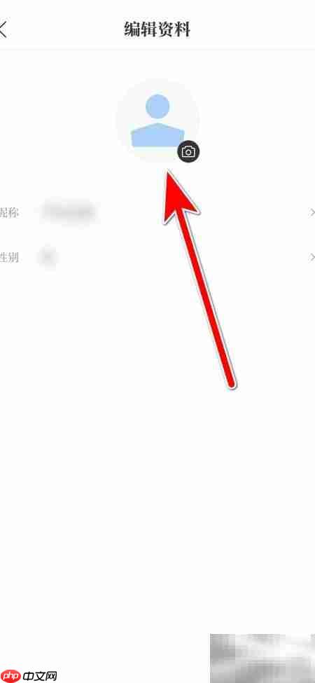 文汇更换个人头像指南
