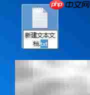 TXT转FASTA格式方法