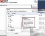 C开发安装向导