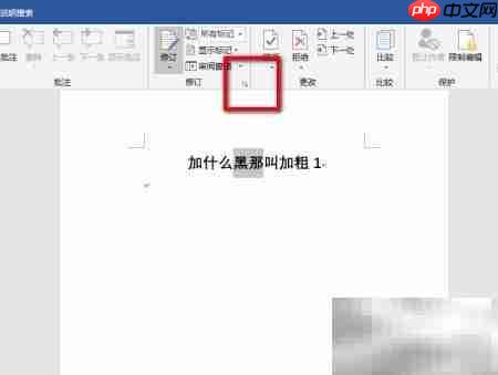 保留Word修订痕迹的方法