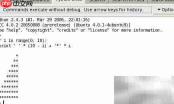 Wing IDE检查Python集成