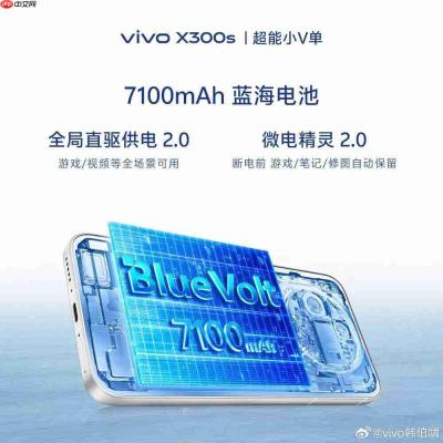 vivo X300s 继续预热,7100mAh 蓝海电池加持