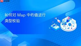 如何对 Map 中的值进行类型校验