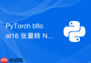 PyTorch bfloat16 张量转 NumPy 的兼容性解决方案