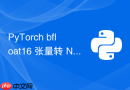 PyTorch bfloat16 张量转 NumPy 的正确方法与替代方案