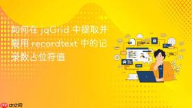 如何在 jqGrid 中提取并复用 recordtext 中的记录数占位符值
